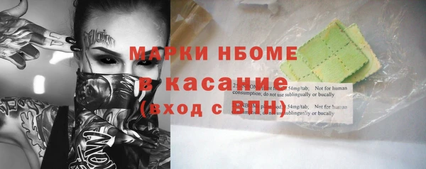 индика Богородицк