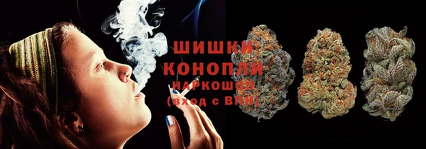 индика Богородицк