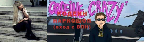 индика Богородицк