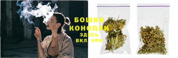 индика Богородицк