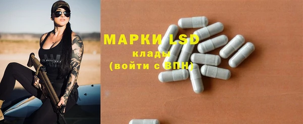 индика Богородицк