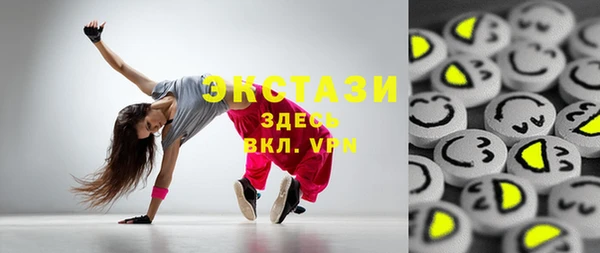 индика Богородицк