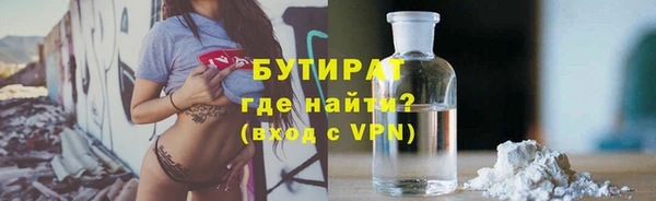 индика Богородицк
