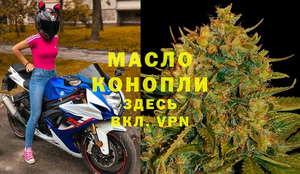 индика Богородицк