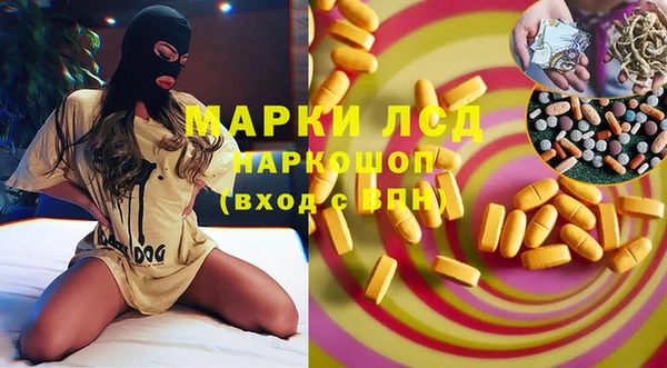 индика Богородицк