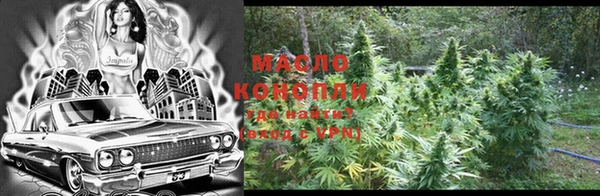 индика Богородицк