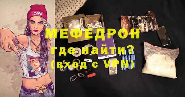 индика Богородицк