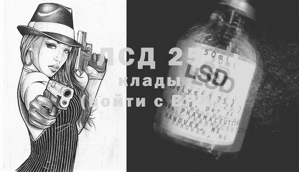 индика Богородицк