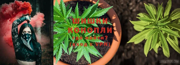 бутират Богданович