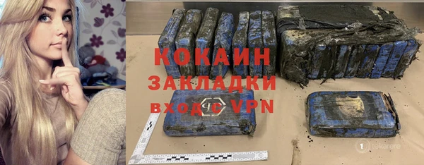 индика Богородицк