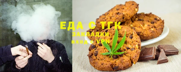 индика Богородицк