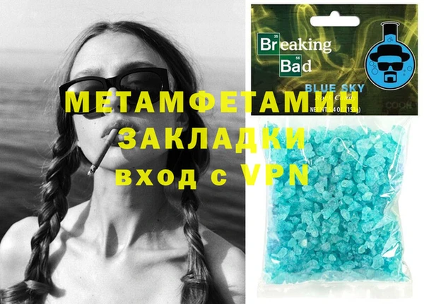 индика Богородицк