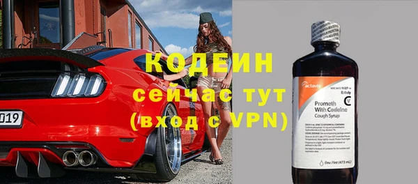 индика Богородицк