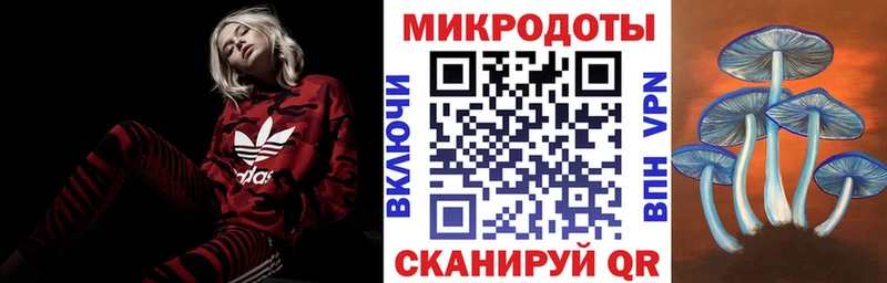 Галлюциногенные грибы Psilocybine cubensis Арзамас