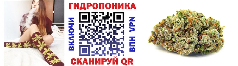 кракен ТОР  Арзамас  Бошки Шишки ГИДРОПОН 